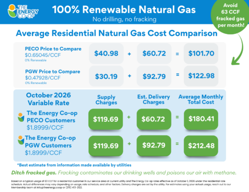 Renewable Natural Gas